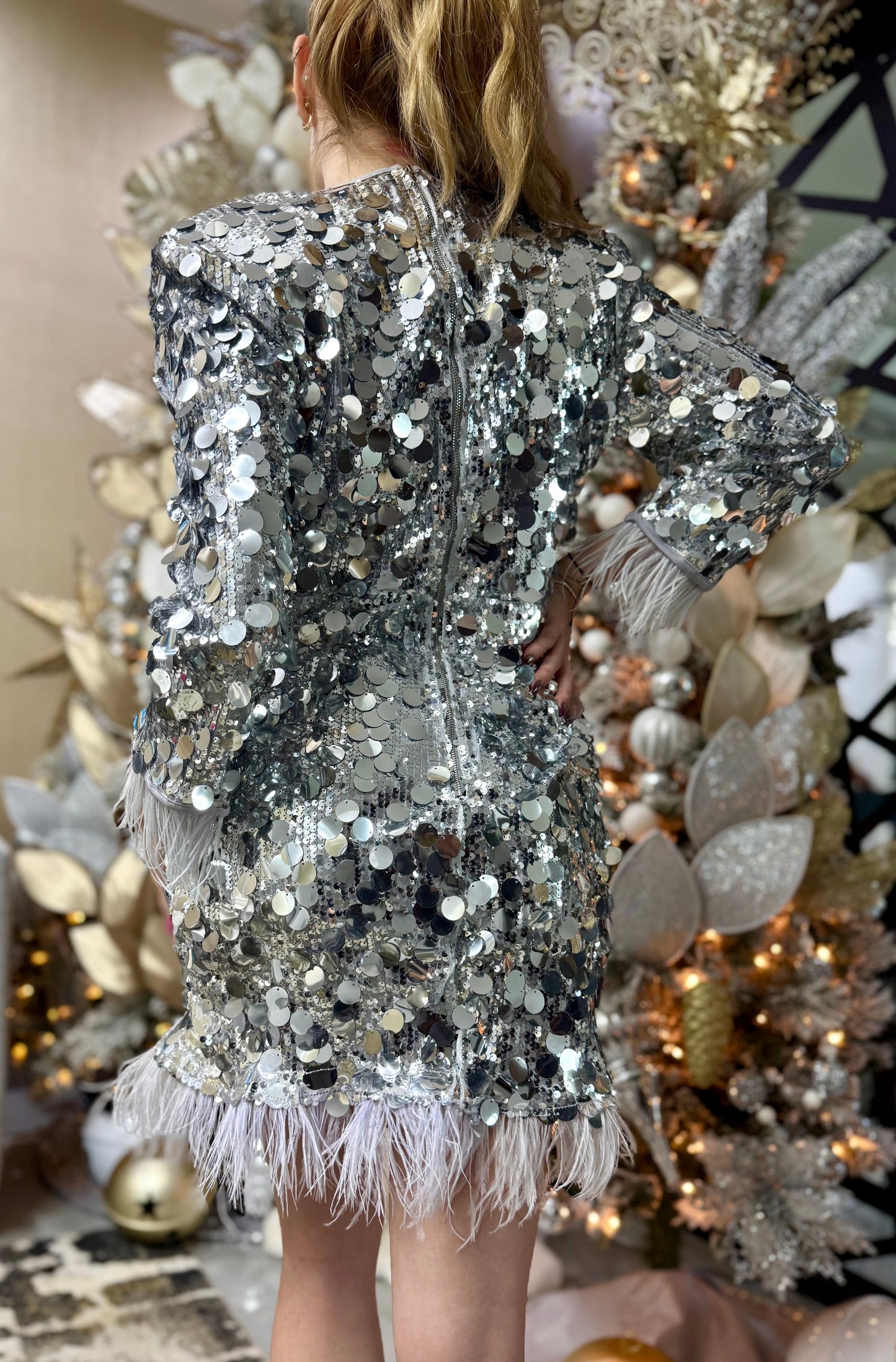 Crystal Silver Dress