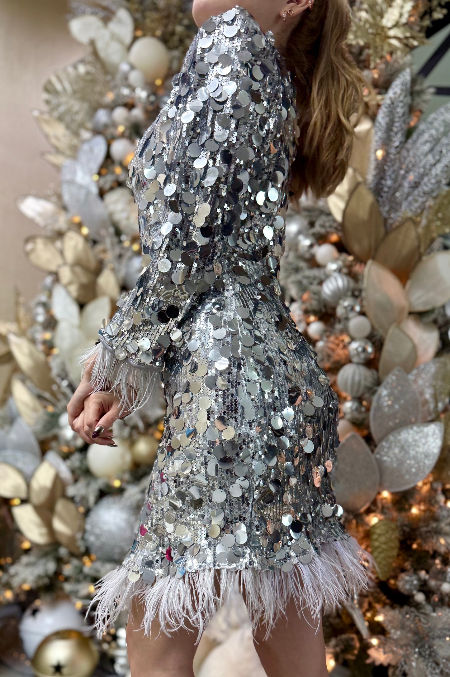 Crystal Silver Dress