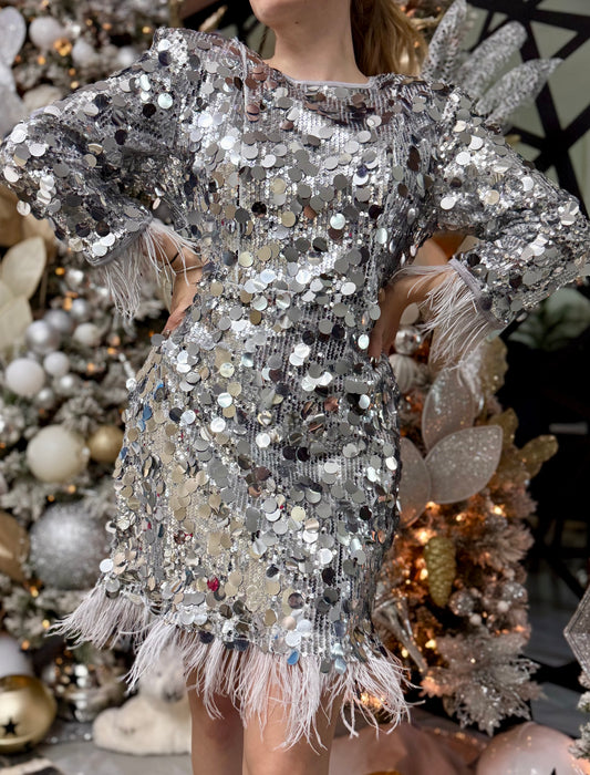 Crystal Silver Dress